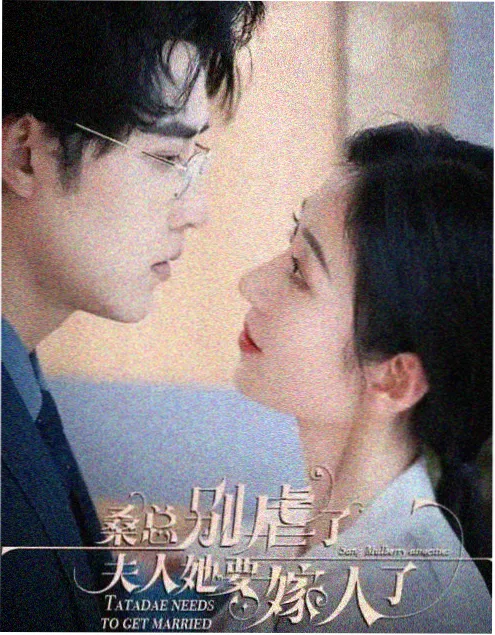 她的城第二季海报